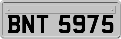 BNT5975