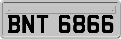 BNT6866