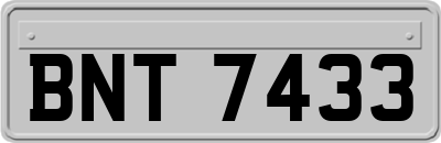 BNT7433