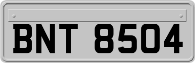 BNT8504
