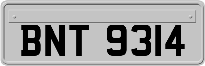 BNT9314