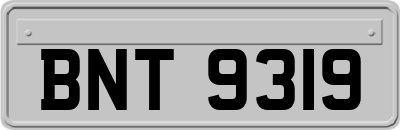 BNT9319