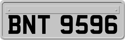BNT9596