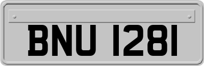 BNU1281