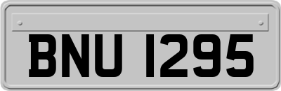 BNU1295