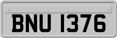 BNU1376
