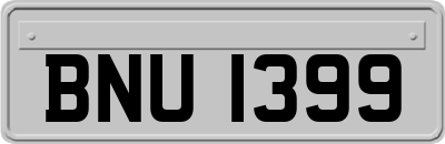 BNU1399
