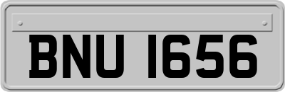 BNU1656