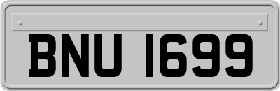 BNU1699