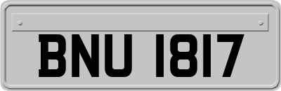 BNU1817