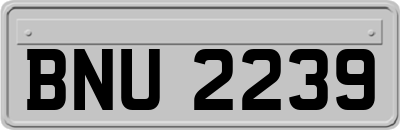 BNU2239