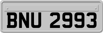 BNU2993