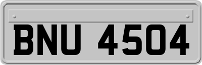 BNU4504