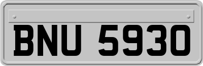 BNU5930