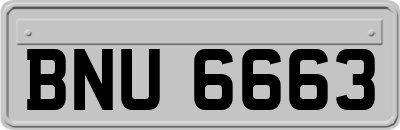 BNU6663
