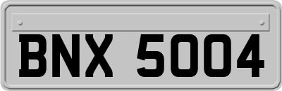 BNX5004