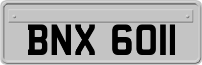BNX6011