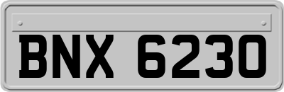 BNX6230