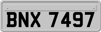 BNX7497
