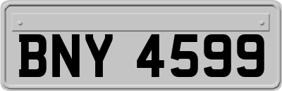 BNY4599