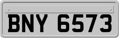 BNY6573