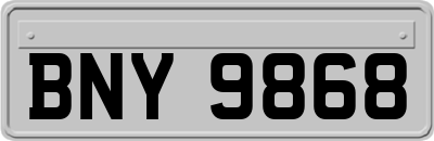 BNY9868