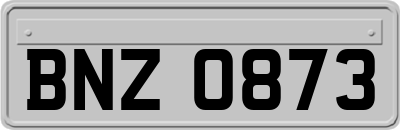 BNZ0873