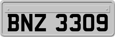 BNZ3309