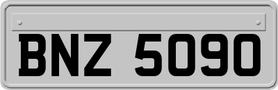 BNZ5090