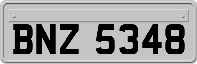 BNZ5348