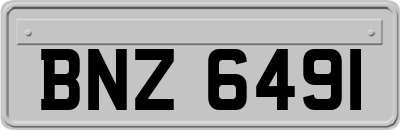 BNZ6491