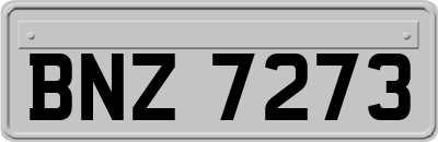 BNZ7273
