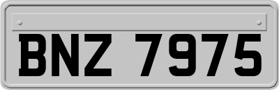 BNZ7975