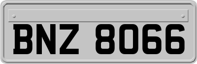 BNZ8066