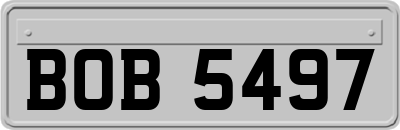 BOB5497