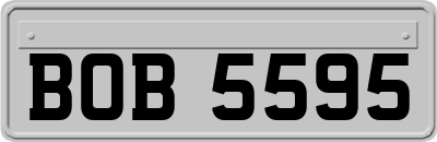 BOB5595