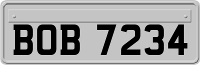 BOB7234