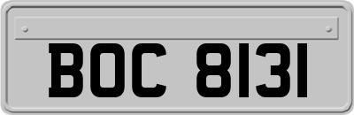 BOC8131
