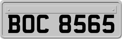 BOC8565