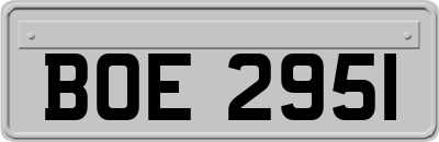 BOE2951