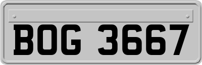 BOG3667