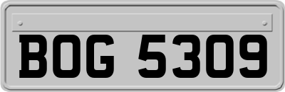 BOG5309