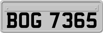 BOG7365