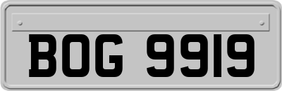 BOG9919