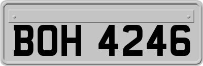 BOH4246