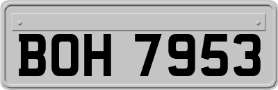 BOH7953