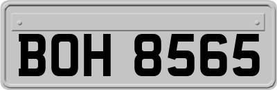 BOH8565