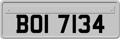 BOI7134