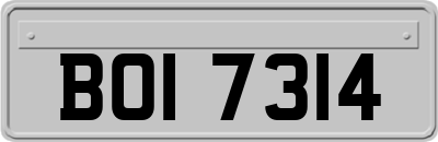 BOI7314