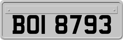BOI8793